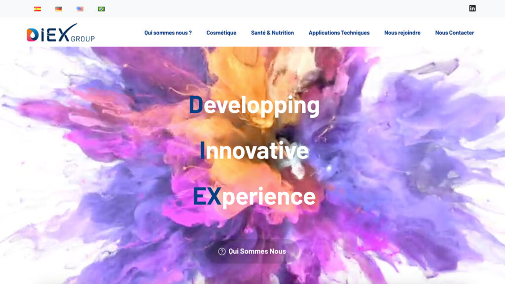 site internet diex group