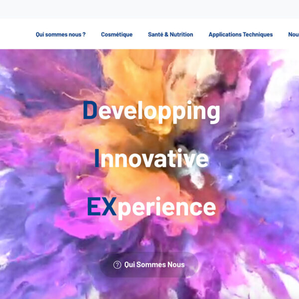 site internet diex group