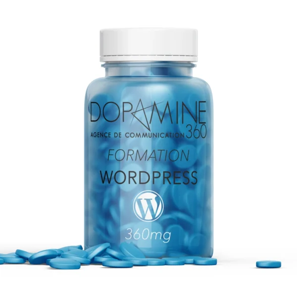 formation-wordpress-rouen