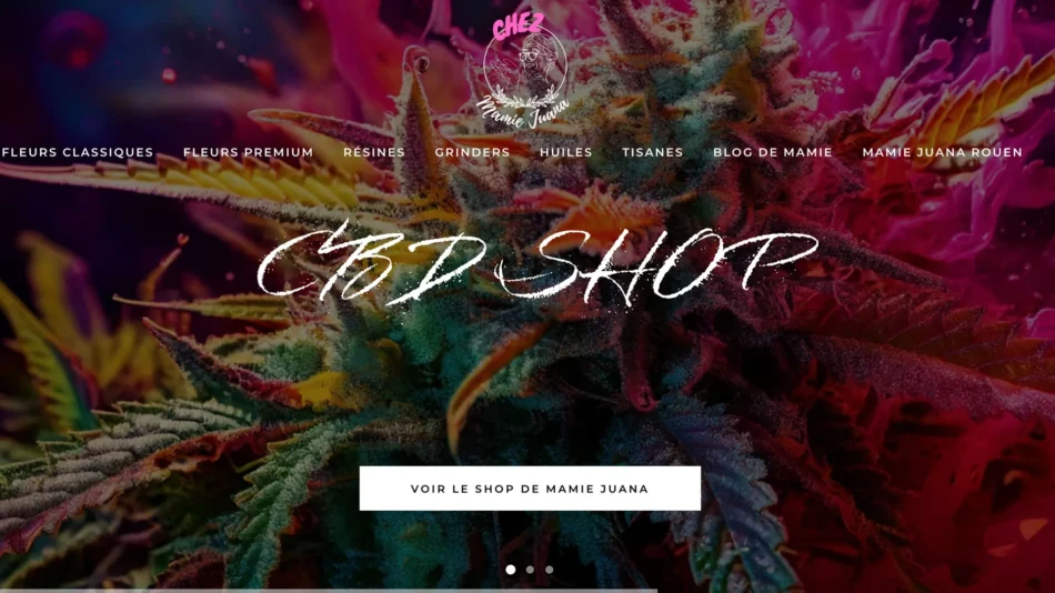 Site Chez Mamie Juana — réalisation Dopamine 360